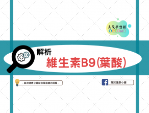 解析-維生素B9(葉酸)