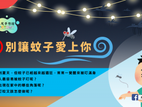 別讓蚊子愛上你